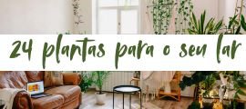 24 plantas para atrair energias positivas.